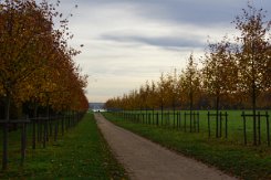 2015-10-30 Le parc du chateau de Versailles 0002