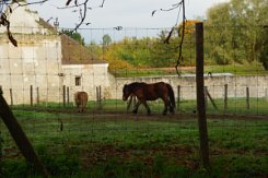 2015-10-30 Le parc du chateau de Versailles 0004