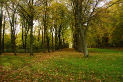 2015-10-30 Le parc du chateau de Versailles 0006