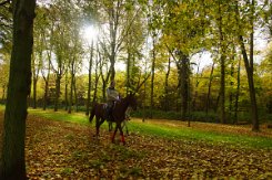 2015-10-30 Le parc du chateau de Versailles 0007