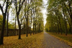 2015-10-30 Le parc du chateau de Versailles 0009