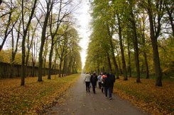 2015-10-30 Le parc du chateau de Versailles 0010