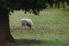 2016-03-25 Circuit de Boissy-le-Sec 0016