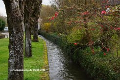 2016-06-17 Circuit de Cesson 0003