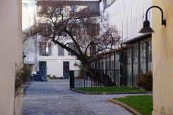 2016-04-10 Paris - Arbres remarquables 0001