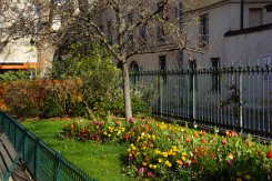 2016-04-10 Paris - Arbres remarquables 0013