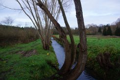 2016-01-10 Circuit de Verrieres 0001