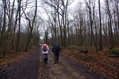 2016-01-10 Circuit de Verrieres 0012