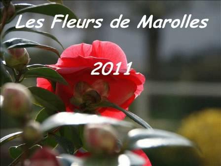 fleurs_2011