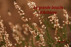 2012-03-11 La Boucle d_Acheres