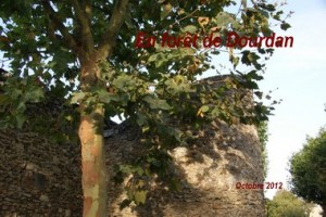 2012-10-07 Circuit de Dourdan