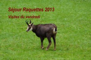 Séjour raquettes - Visites