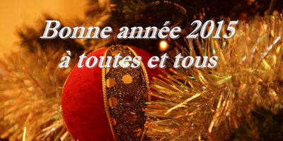 Lire la suite à propos de l’article Bonne Année 2015