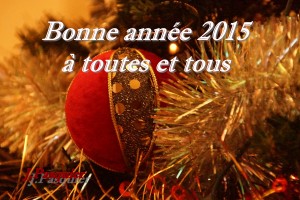 Bonne annee 2015