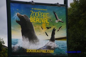 2015-09-12 Sortie à Beauval