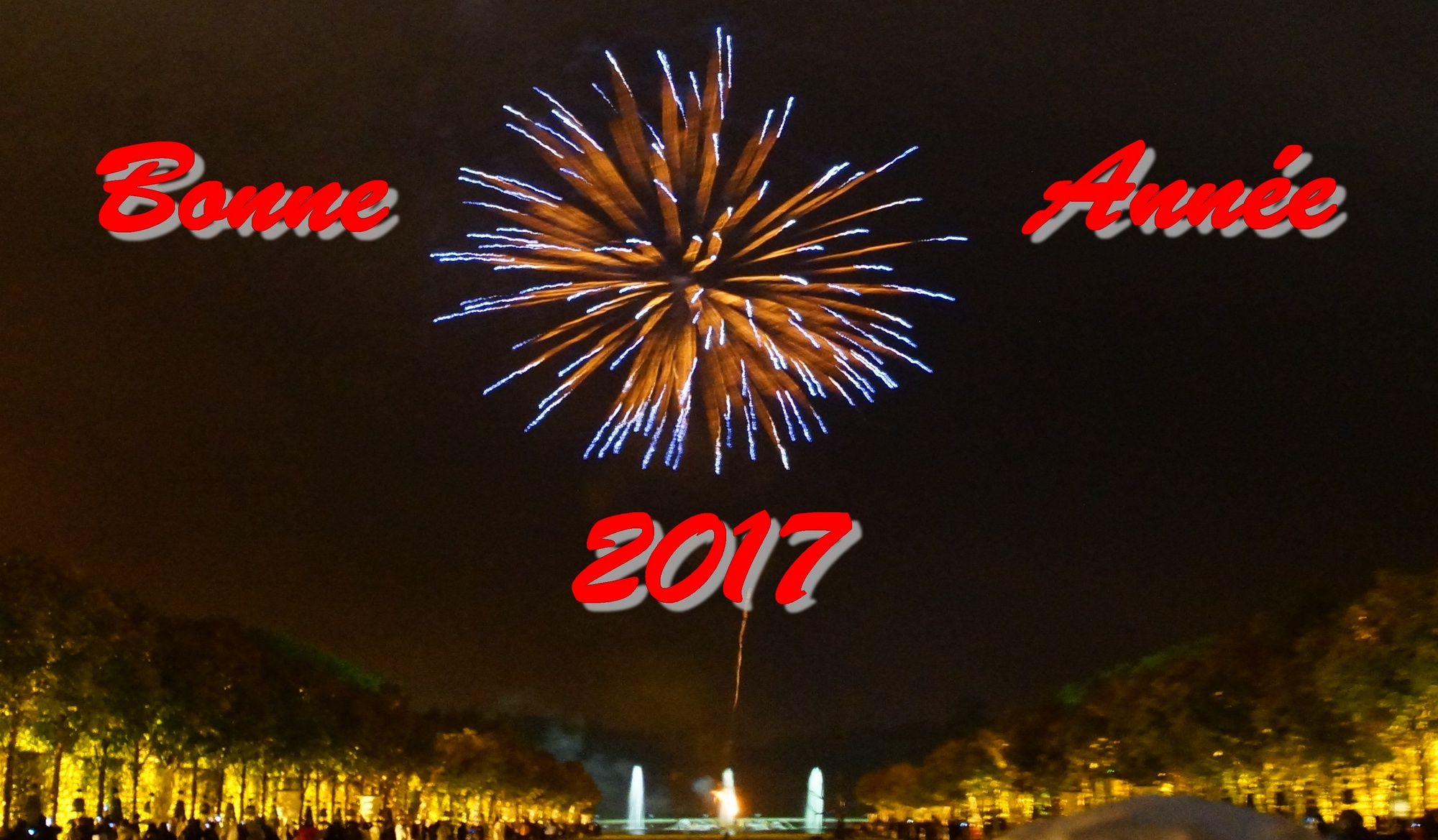 Lire la suite à propos de l’article Bonne Année 2017