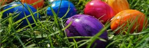 Lire la suite à propos de l’article Chasse aux œufs 2017