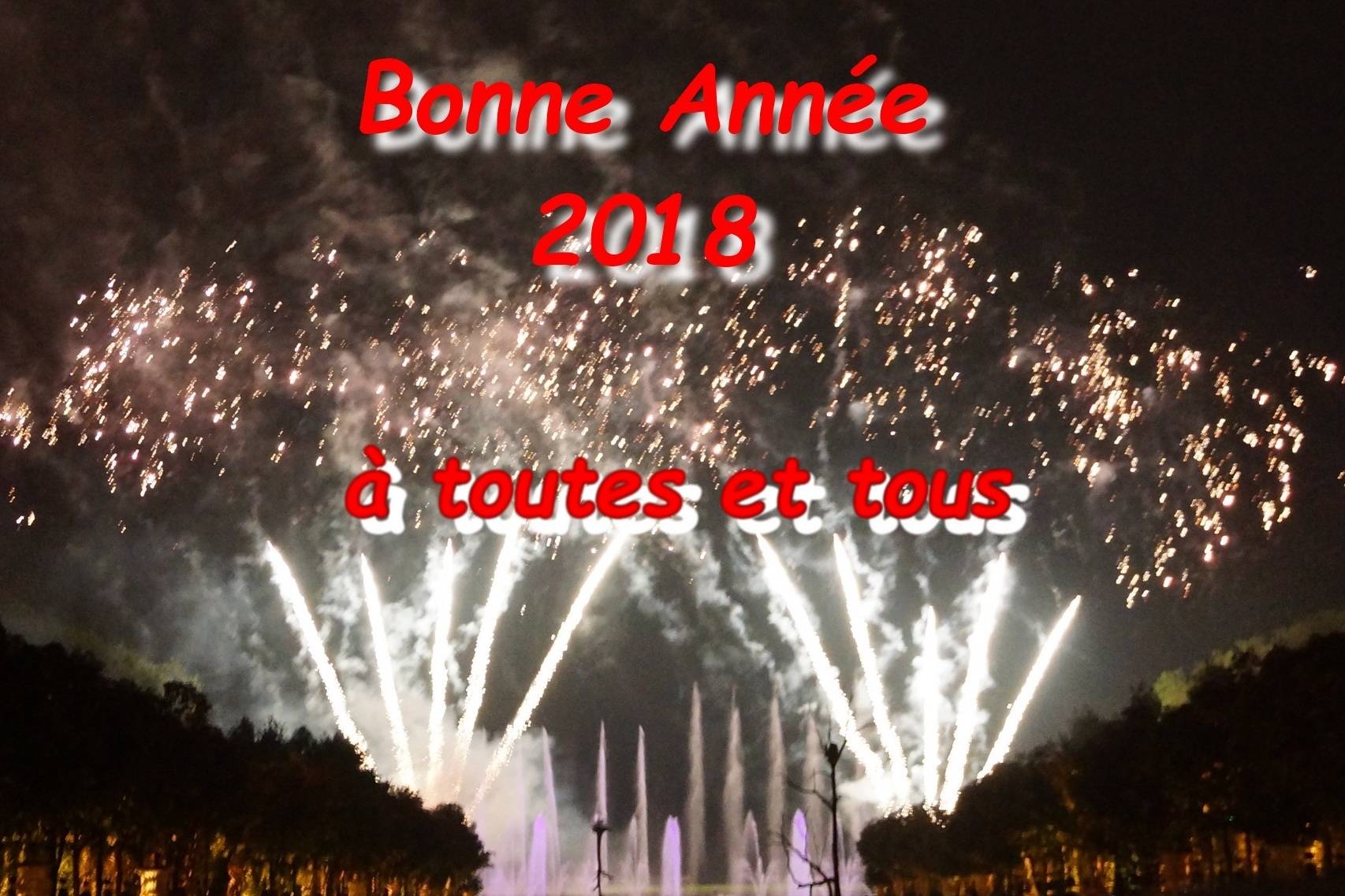 Lire la suite à propos de l’article Bonne Année 2018