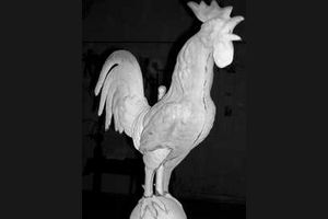 L'ancien coq