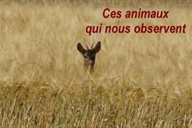 0_premiere_page