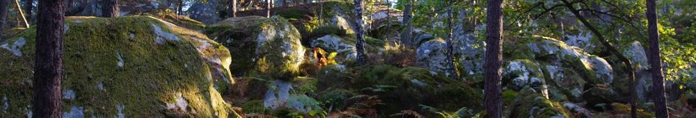 2016-10-09 Les gorges d_Apremont 0021