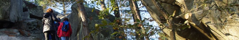 2016-10-09 Les gorges d_Apremont 0025