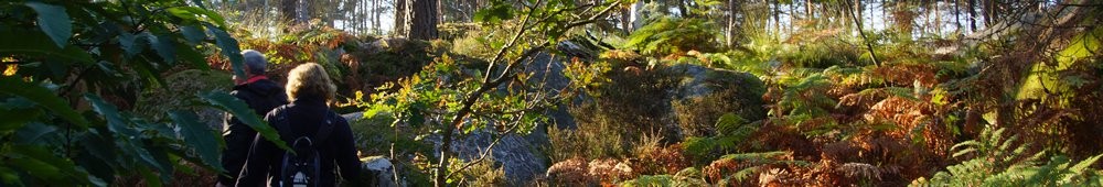 2016-10-09 Les gorges d_Apremont 0029