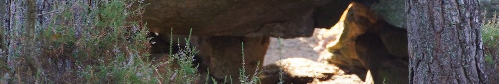 2016-10-09 Les gorges d_Apremont 0033