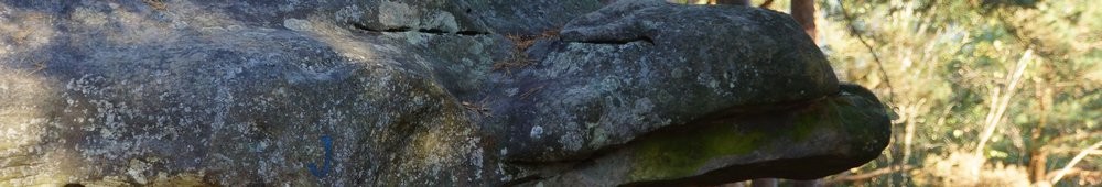 2016-10-09 Les gorges d_Apremont 0036