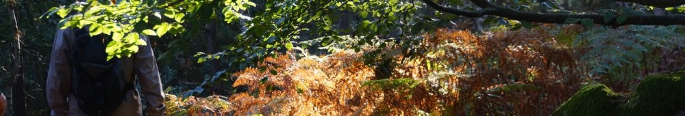 2016-10-09 Les gorges d_Apremont 0044