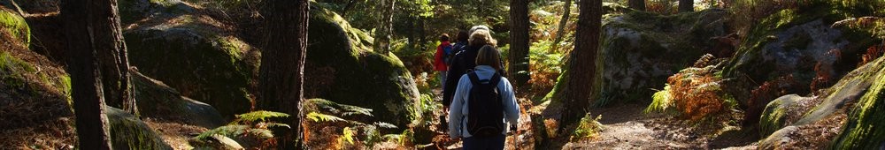 2016-10-09 Les gorges d_Apremont 0062