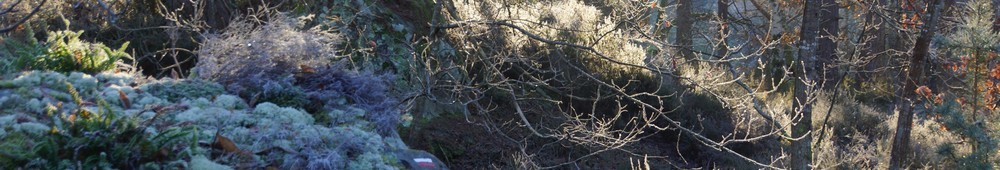 2017-01-06 La Ferme du Coquibus 0024