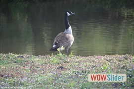20120419_vert_le_petit_0002