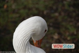 20120419_vert_le_petit_0028
