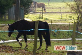 20131124_breuillet_0040