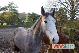 20131206_auversstgeorges_0016