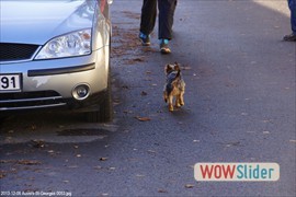 20131206_auversstgeorges_0053