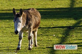 20131215_les_plateaux_0040