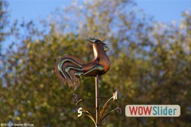 20131124_breuillet_0018