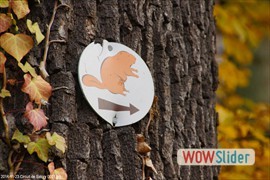 20141123_circuit_de_satory_0021