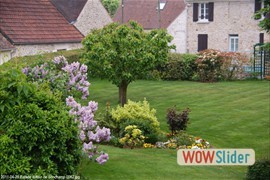 20110429_balade_autour_de_sonchamp_0062