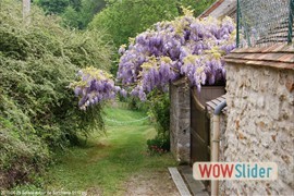 20110429_balade_autour_de_sonchamp_0119
