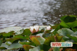 20110625_rando_arpajonnais_0056