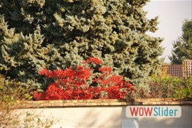 20111016_rando_itteville__0051