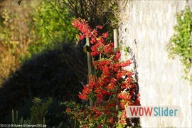 20131206_auversstgeorges_0052