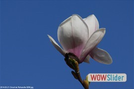 20140321_circuit_de_richarville_0056