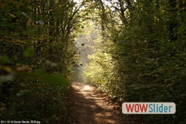 20111016_rando_itteville__0039