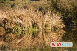 20111016_rando_itteville__0060