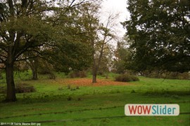 20111106_sainte_mesme_0041