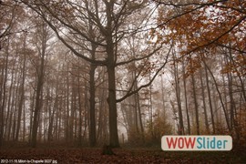 20121116_milonlachapelle_0037